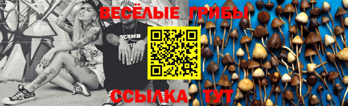 Галлюциногенные грибы мицелий Железногорск
