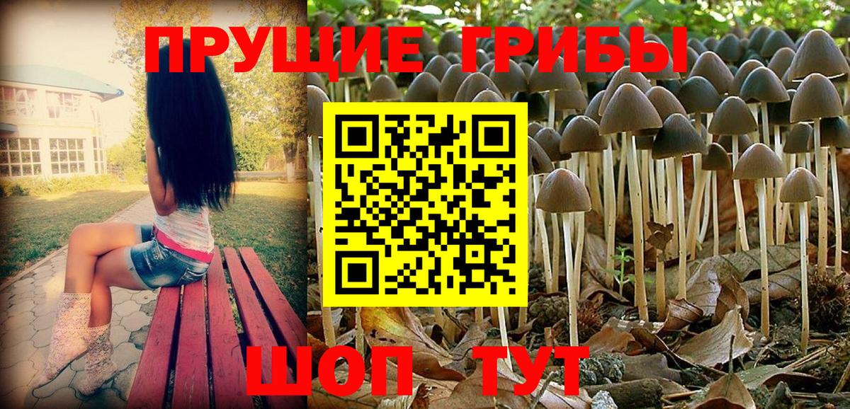 Галлюциногенные грибы Magic Shrooms  Галлюциногенные грибы мицелий  Железногорск  Вход с VPN 